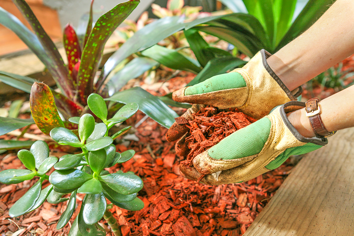 12 Things To Do This Fall To Prepare Your Garden for Next Year