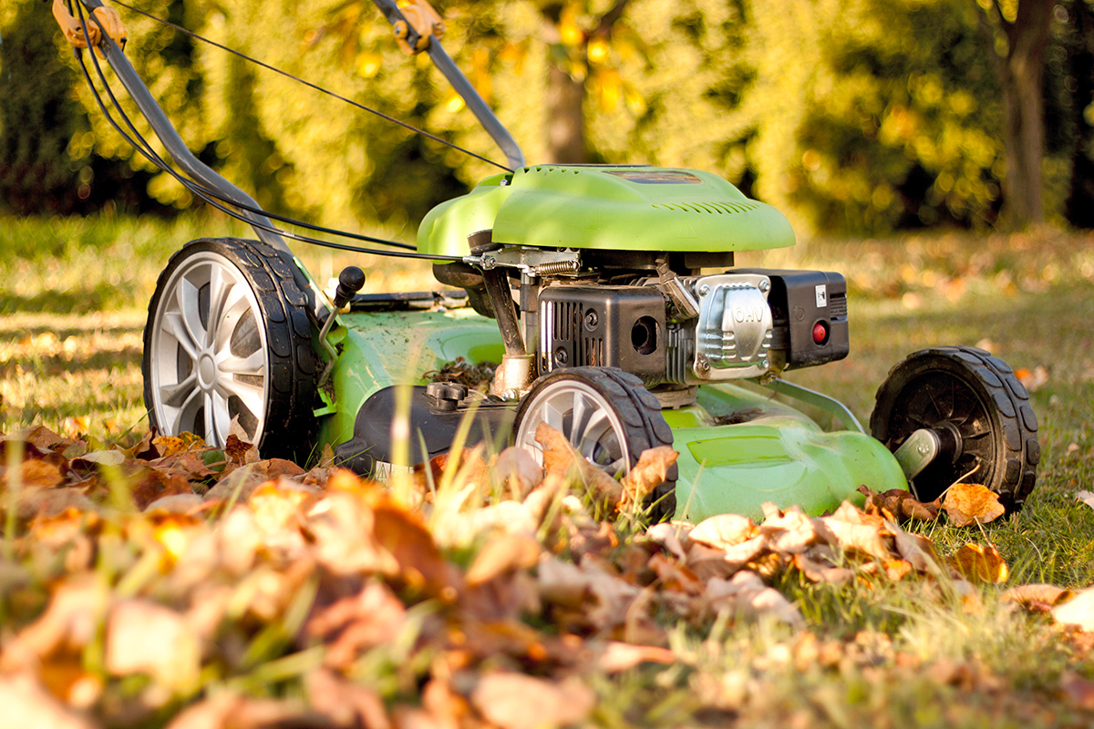 Don’t Bag Those Fallen Leaves — Do This Instead