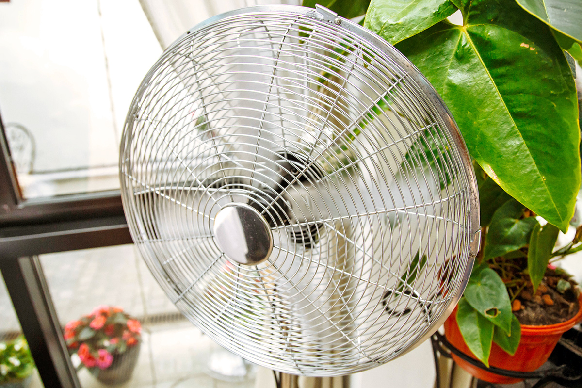 A close-up of a metal cage fan in a room with several potted houseplants.