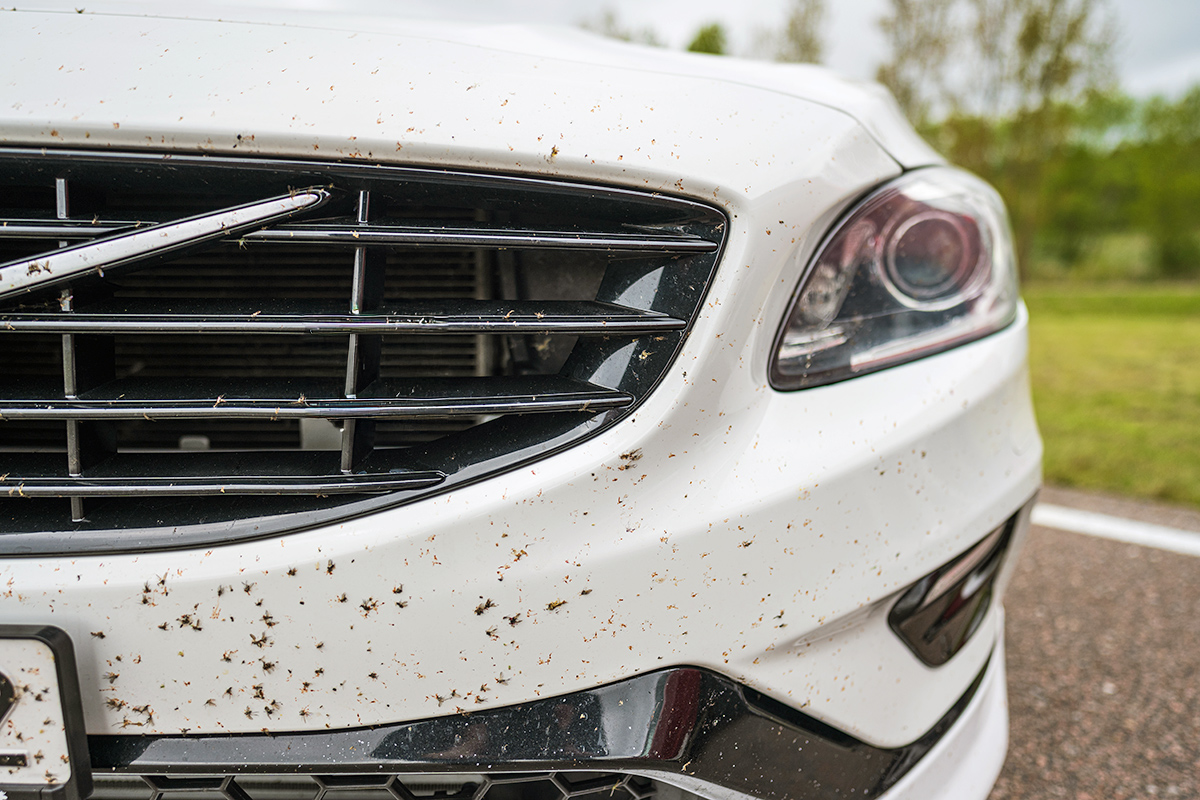 A Gentle Way To Get Bug Splatter Off Your Car