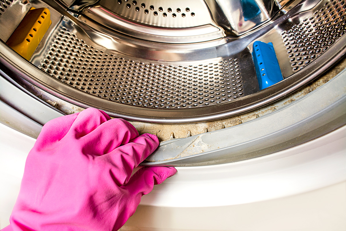 How To Eliminate Mold From Your Front-Load Washer