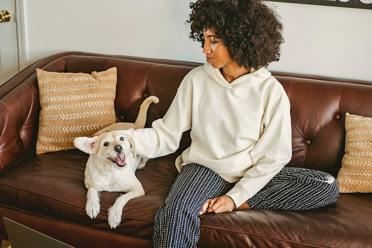 How To Remove Pet Smells From Furniture