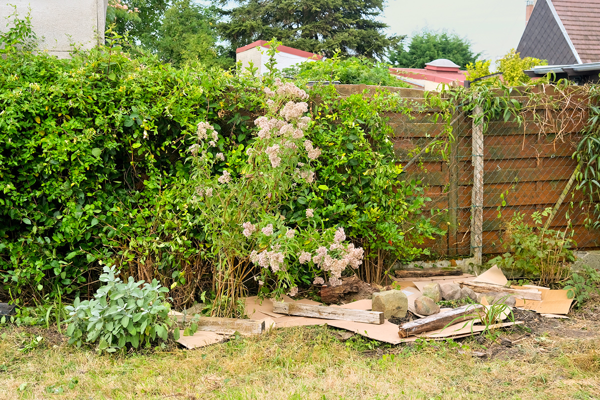 This $0 Hack Keeps Your Garden Beds Weed-Free