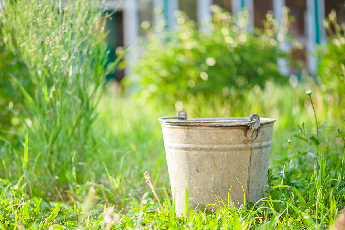 Why You Should Keep a Bucket in Your Shower