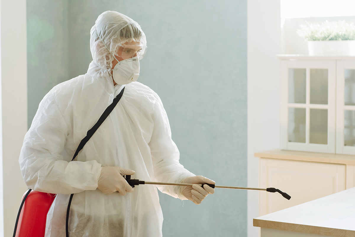 6 Early Warning Signs of a Pest Problem Most People Miss
