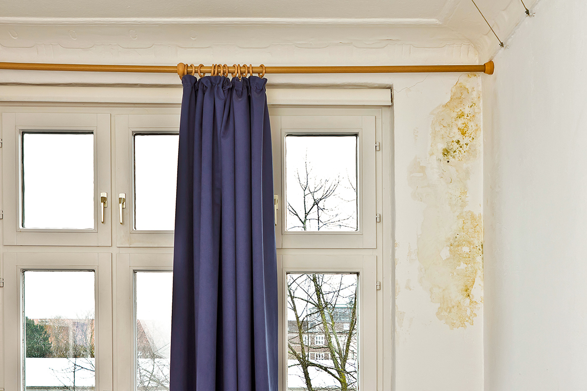 7 Places in Your Home Where Mold Is Likely Hiding
