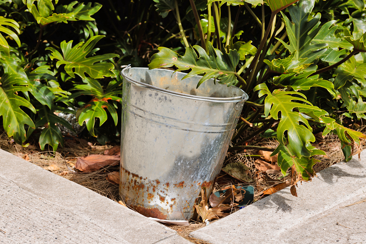 Your Backyard Needs a ‘Mosquito Bucket of Doom’