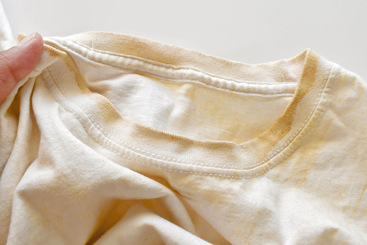 Anonymous person holding a heavily stained white T-shirt. The staining is yellow-brown and around the collar.